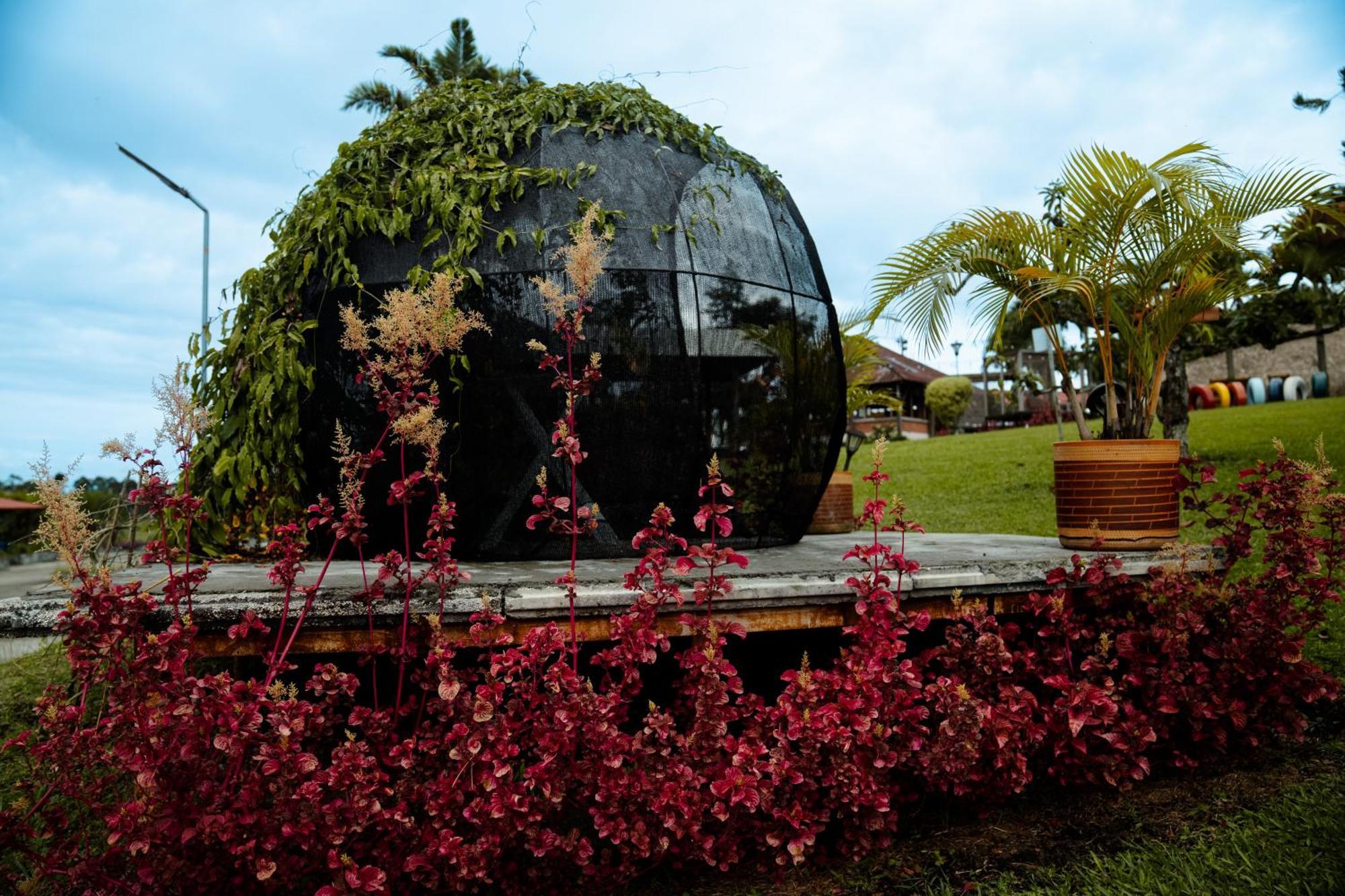 Finca Hotel Yerbabuena Pereira Exterior foto